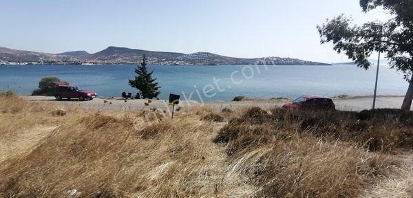 Foça İsmetpaşa Mah (yeşiltepede) Satılık 300m2 Sit Arsa (2.500.000)