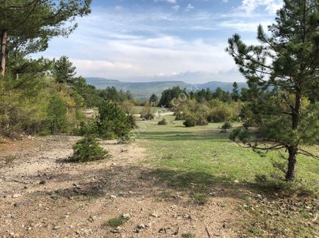 Bengisu Gayrimenkul Den Satılık Tarla