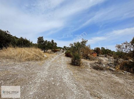 İzmir Aliağa Barboros Hayrettin Paşa Mh Satılık Tarla