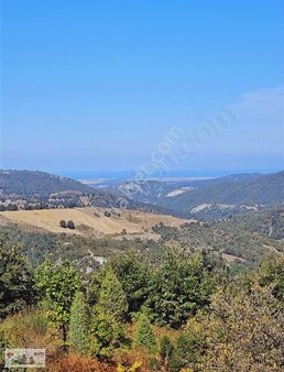 Han Emlak'tan Biga Arabaalan'da Satılık 20500m2 Tarla