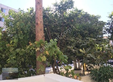 Karşıyaka Donanmacı Da Yalı Ya 100 M Bahçeli Hasarsız Kiracılı