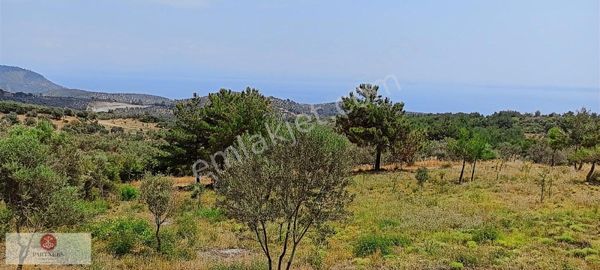 Çanakkale Ayvacık Yeşilyurt Ta Emsalsiz 26.071 M2 Armutluk