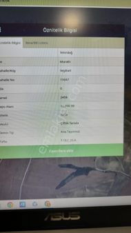 Yeşilsırt Ta Satılık Tarla Denız Gayri Menkul Den Komisyon Yok