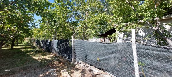 Mt Emlak'tan İmarlı Satılık Bahçeli Arsa