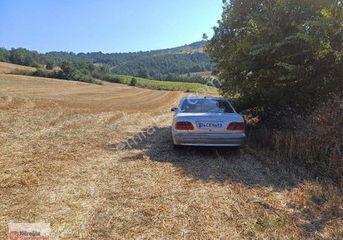 Sakarya Geyve Çaykoyde Satlık 10 Dönüm Çok Güzel Verim Li Bir Tarla 1550000 Tl