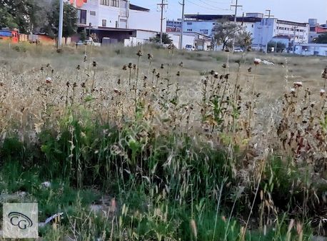 Ergene Karma Organize'de Satılık 5000 M2 Sanayi İmarlı Arsa