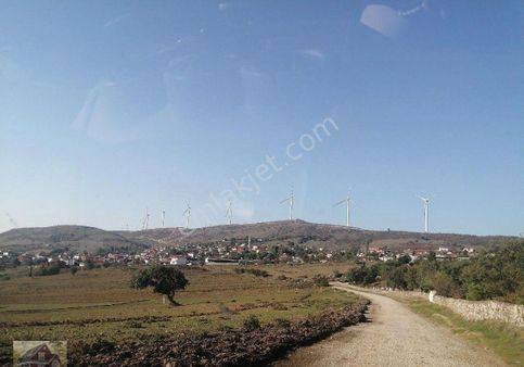 Balıkesir Kepsut Eşeler Mahallesi Köy Merkezine 1 Km Kiracılı Yatırımlık Tarım Arazisi Satılıktır.