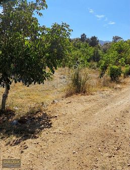 İbradıda Daıre Takaslı Ceviz Badem Bahçesi