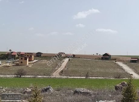 Acil Uşak Ulubey'de Satılık Tek Tapu Yola Cephe Tarla