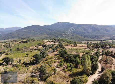 Çanakkale Bayramiç Çavuşlu Köyünde Satılık Tarla