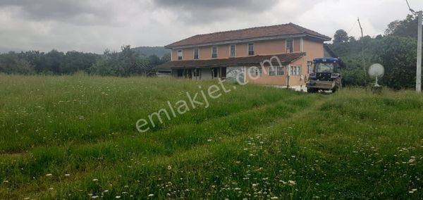 160 Dönüm Fındıklık Evler Ahırlar Etrafı Çevrili Arazı