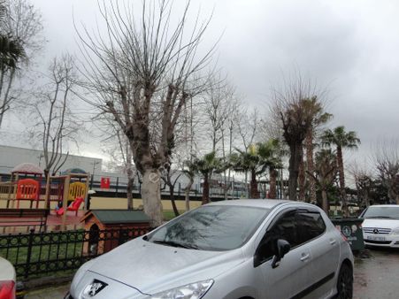 Adatepe Sahilde Genç Binada 3+1 Yüksek Giriş Dublex Daire