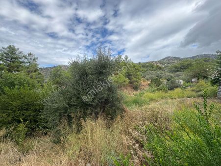 Paşa Emlak'tan Dalaman Karaderede Doğa İçinde 347m2 İmarlı Arsa