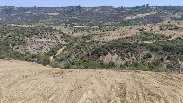 Tekirdağ-mürefte-mursallı'da Satılık 3000 M² Bağ Yeri