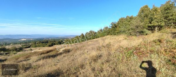 Bursa Yenişehir Gökçesuda Satılık 3 Dönüm Manzaralı Arazi