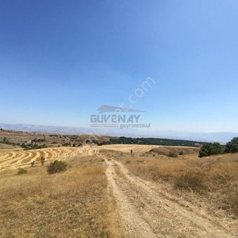 Güvenay - Çorum Organizeye Yakın 70 Dönüm Satılık Tarla