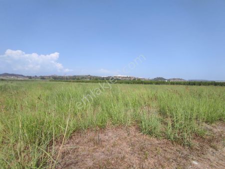 Bilge Gayrimenkulden Satılık Yatırımlık Tarla