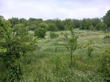 Çıtırık Tan Sincan İncirlik Mah.tek Tapu Satılık Tarla