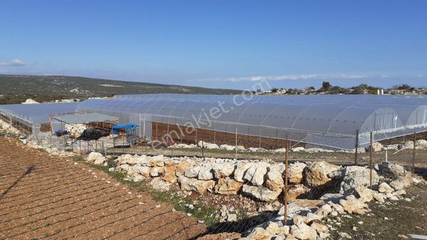 Kızkalesi'nde Deniz Manzaralı Satılık Sera Ve Bahçe