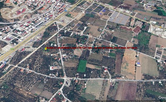 Orhangazi Hürriyet Mah. De İmara Sınır Hisseli Zeytinlik