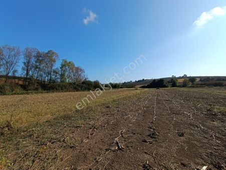 Kaynarca Uzunalanda Satılık Tarla
