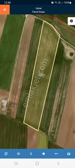 Sultanköyde Satılık 38 Dönüm Tarla