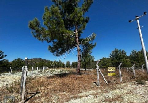 İzmir Selçuk Şirincede Ana Yola Cephe Hazır Bahçe