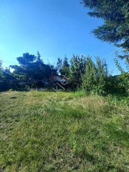 Güvenay - Çorum Ahçılar Bağlarında Satılık Bağ Evi