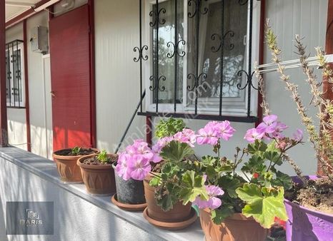 Çanakkale Ezine Akköy'de Satılık Kelepir Yeni Yapılmış Köy Evi