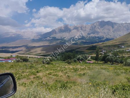 Çamardı Mahmatlı İmar Dibi 1732m2 Verimli Tarla