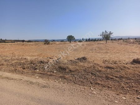 Çanakkele Gelibolu Bayramiç Köyünde Satılık 3200 M2 Tarla