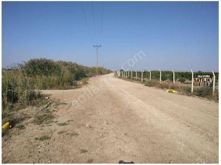 Adana Karataş Çukurkamış'ta 14 Dönüm Portakal Bahçesi