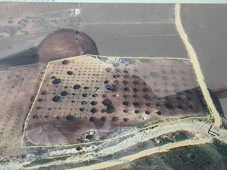 Tekirsin De Yatırımlık Tek Tapu Fırsatt Bahçe