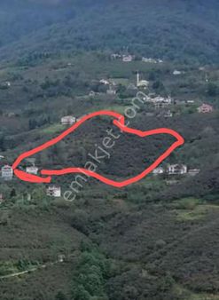 Mandıra Çiftlik Veya Salep Ekimi Yapmaya Uygun Bahçe