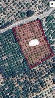 Mersin Erdemlı De Satılık Lımon Bahçesı