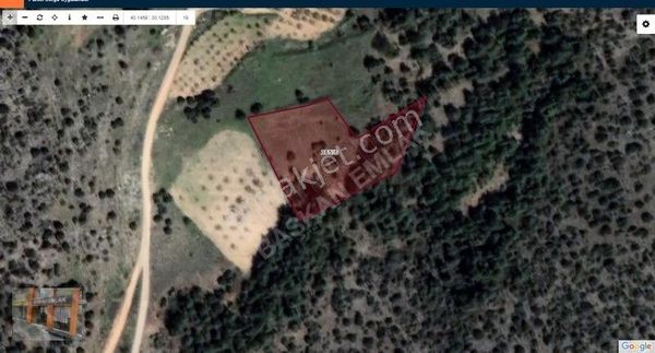 Başkan Emlaktan Satılık Bilecik Deresakarı Köyü 2.567 M2 Tarla