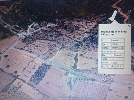 Sikifke İmamuşağı Mh De İmara Yakın Satlık Araziler