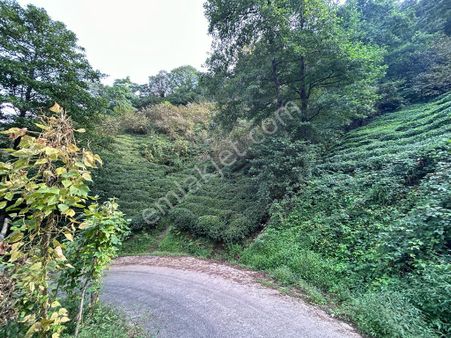 Premar Gayrimenkulden Sürmene Soğuksu Mah. Satılık Fırsat Arsa