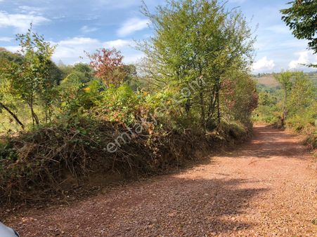 Gölcük Nüzhetiye 106/25 Parsel 7156m2 Yollu Yatırımlık Arsa