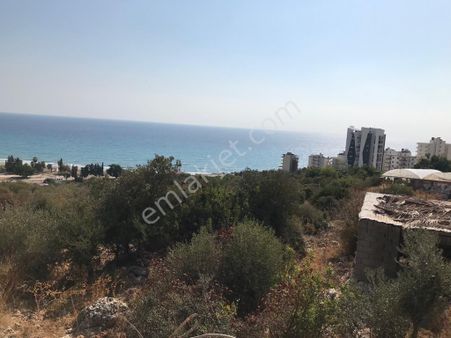 Ayaş'ta Satılık Veya Kat Karşılığı Arsa