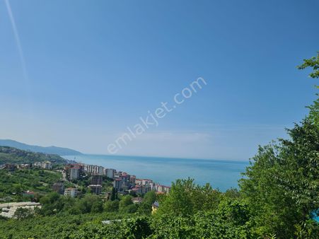 Trabzon Beşirlide Yatırımlık Full Deniz Manzaralı Arsa