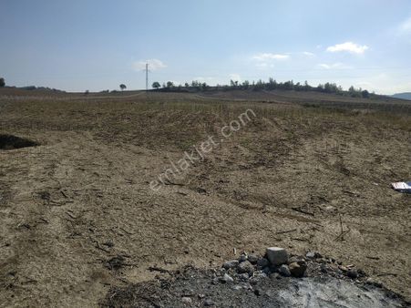 Adana Sarıçam Çirişgediğin'de 30 Dönüm Tarla,