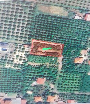 Ortaca Güzelyurtta Satılık Arsa Arsasatılık