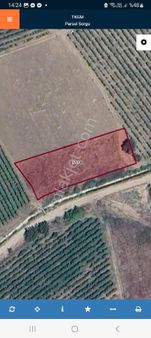 Satılık Kelepır Yol Kenarı Tarla Pamukova