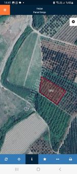 1980m2 Yol Kenarı Kelepır Tarla