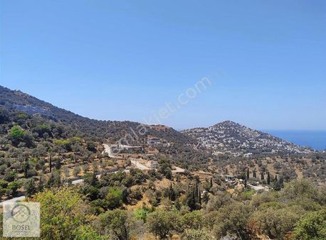 Yalıkavak Geriş 16000 M2 Full Deniz Manzaralı Satılık Malikane Arsası