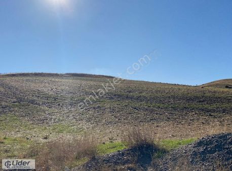 Akyurt Kızık Mah Fırsat 9.000m2 Tek Tapu Yola Cephe Tarla