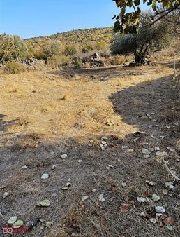 Çaltı Mahallesinde Asfalta Sıfır Arazi