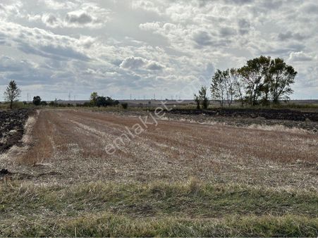 Arsa Bankasında Kırklareli Vize Evrenli 302 M2 Hisse