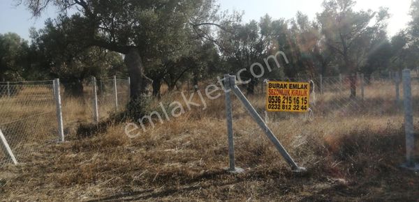 Şakran Ahmet Dağı Mevkiinde Satılık 300m2 Paylı Mülkiyet (1.350.000tl)